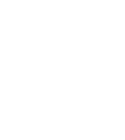 Collegiate Conference of the South banner logo