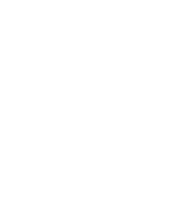 Collegiate Conference of the South banner logo